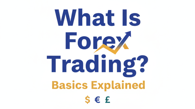 What Is Forex Trading? Basics Explained What Is Forex Trading? Basics Explained